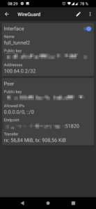 WireGuard Android App - Tunnel Infos